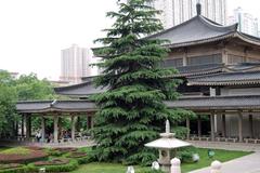 Shaanxi History Museum entrance in Xi'an