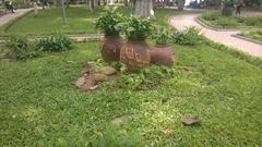 Decorative pots near the Hoan Kiem lake in 2014