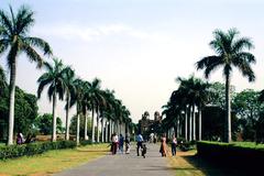 Avenue with palm trees at Purana Qila, Delhi