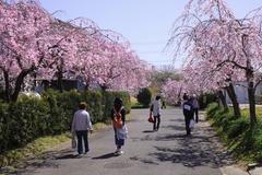 Togokusan Fruits Park Nagoya 2022