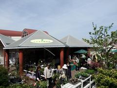 Tougokusan fruit shop interior