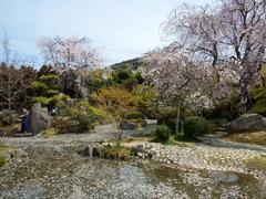 Fruit Park Garden