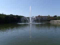 Fishing pond at Higashiyama Fruit Park