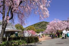 Togokusan Fruits Park in Nagoya, Moriyama Ward