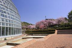 Togokusan Fruits Park in Nagoya, April 2022