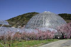 Togokusan Fruits Park in spring