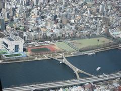 Sakurabridge viewed from Tokyo Sky Tree