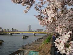 Sakura-bashi Bridge over Sumida River in Tokyo, Japan