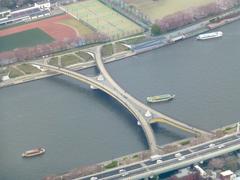 Sakurabashi bridge with cherry blossoms in Tokyo