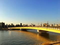 Sakurabashi bridge on a sunny day in Tokyo, February 18, 2019