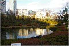 Traditional Japanese garden in autumn with a pond and stone bridge