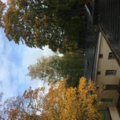 Helsinki Observatory in Finland