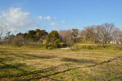 Tsudo Shiroyama Kofun mound