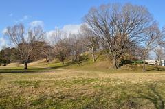 Tsudo Shiroyama Kofun burial mound