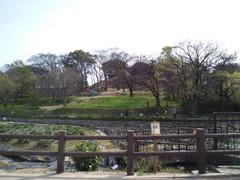 Tsudo-Shiroyama kofun in Fujiidera, Osaka, Japan