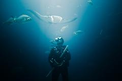 diver preparing scuba tank with underwater lighting