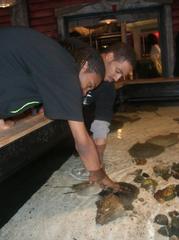 children interacting with marine life in an aquarium petting tank