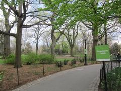 Central Park New York City skyline