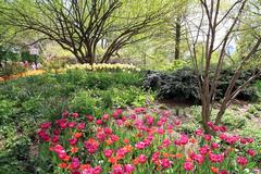 Central Park Strawberry Fields Memorial