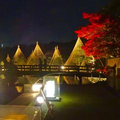 Illuminated autumn leaves and Yukitsuri in Shirotori Garden