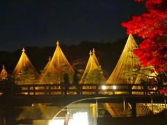 Illuminated autumn leaves and Yukitsuri in Shirotori Garden