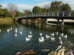 Shirotori Garden and bridge