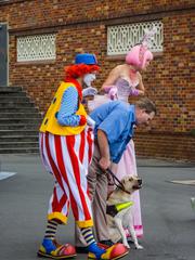 assistance dog with clowns at Luna Park in Sydney