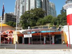 Fig trees above Luna Park Sydney