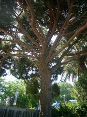 Gardens of Joan Brossa in Barcelona