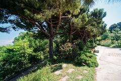 Panoramic view of Barcelona from Jardins de Joan Brossa, Montjuïc