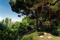 Panoramic view of Barcelona from Montjuïc's Jardins de Joan Brossa