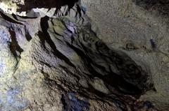 entrance of Nietoperzowa Cave surrounded by greenery