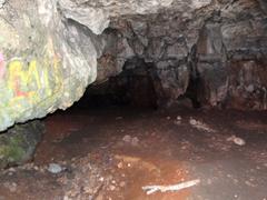 Jaskinia Twardowskiego cave entrance