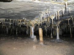 Jeskyně Výpustek cave entrance in Moravský kras