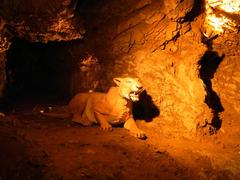 cave with stalactites and stalagmites