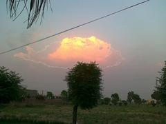 Fish-shaped cloud in blue sky