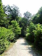 Las Wolski Sowiniec forest landscape