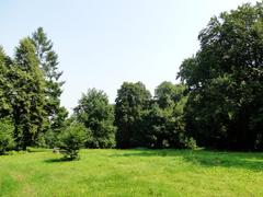 Las Wolski forest landscape with greenery