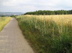 Praha Dívčí hrady View South