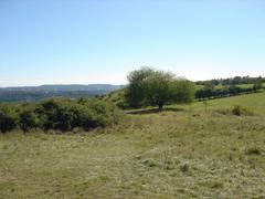 Panoramic view of the southern part of Prague from Dívčí hrady