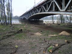 Średnicowy Bridge in Warsaw