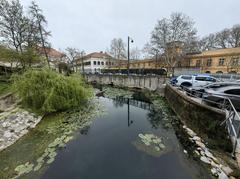 Malom-tó in Budapest with scenic views of water and surrounding greenery