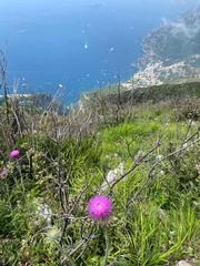 Sentiero degli Dei Monte tre Pizzi in Parco Regionale dei Monti Lattari