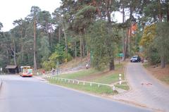 Powsin Park in Warsaw with lush green trees and a pathway