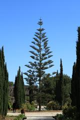 Ta' Qali National Park in Attard, Malta