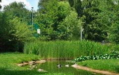 Park Zaczarowanej Dorożki in Kraków with a pond