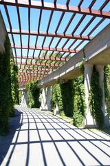 Pergola near Centennial Hall in Wrocław, Poland