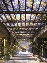 Pergola in Wrocław, Poland