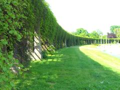 View of Pergola in the garden