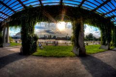 Outdoor pergola with wooden beams and climbing plants